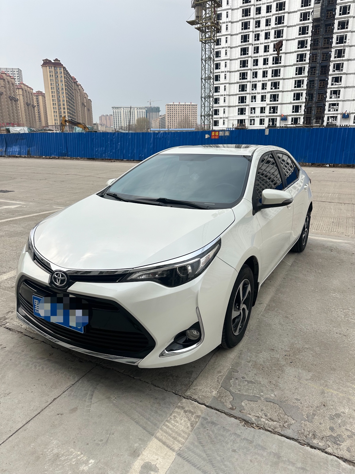 ����19���S������1.2t����
